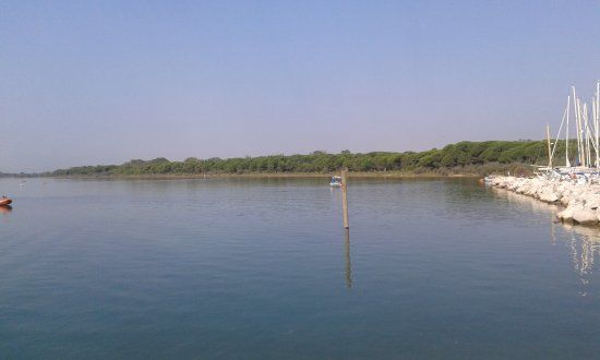 Laguna del Mort